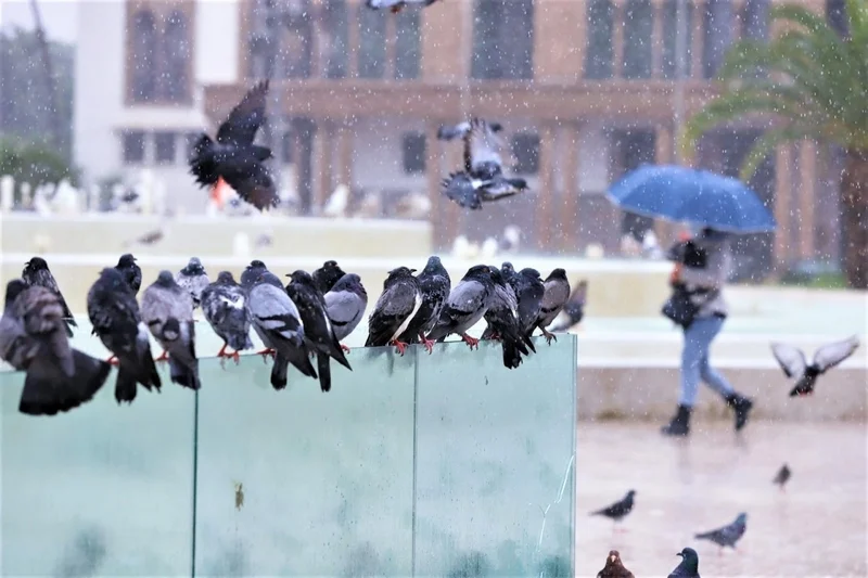 تساقطات مطرية خفيفة ببعض المناطق المغربية.. وهذه توقعات الأرصاد