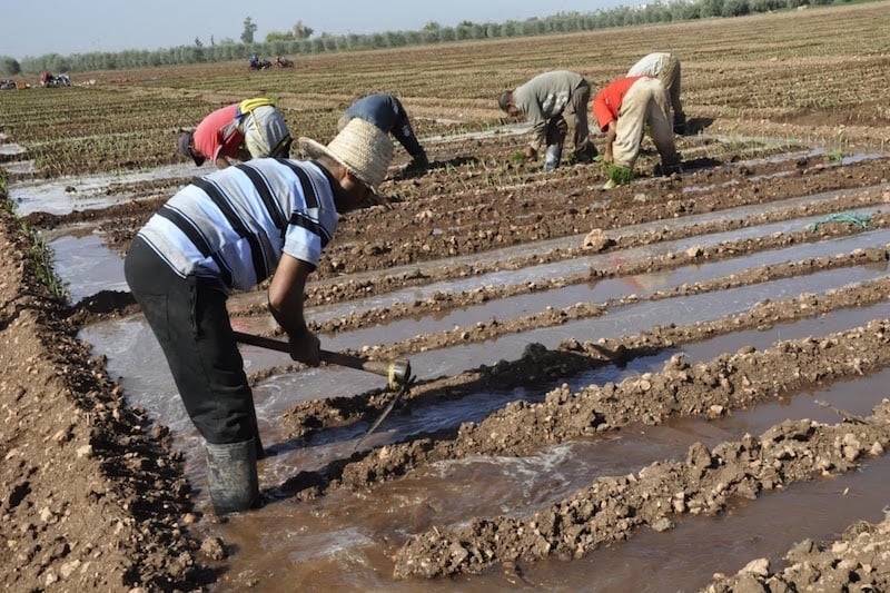 خبراء يسلطون الضوء على إشكالية ندرة المياه والتغيرات المناخية بالمغرب