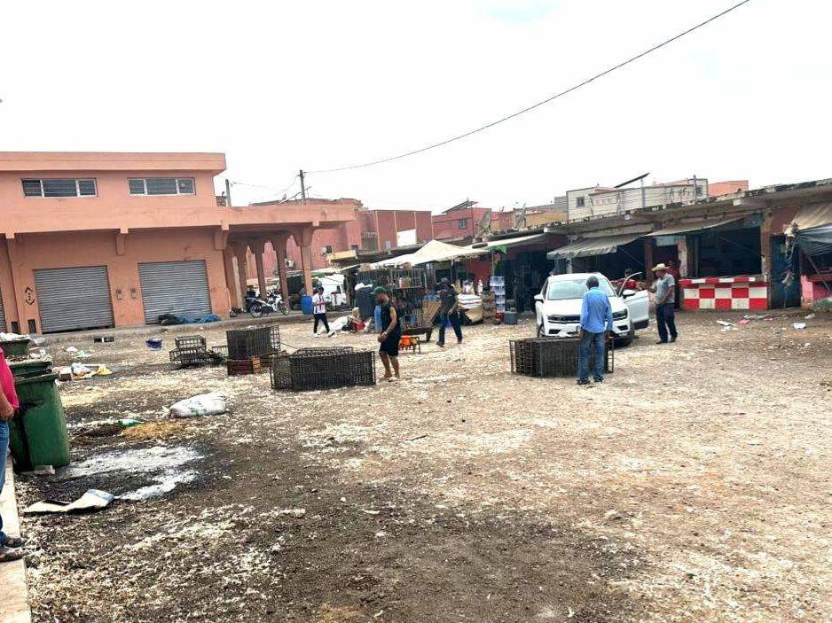 كيسر.. حملة تحسيسية ونظافة بتعاون بين المجلس المحلي والجمعيات