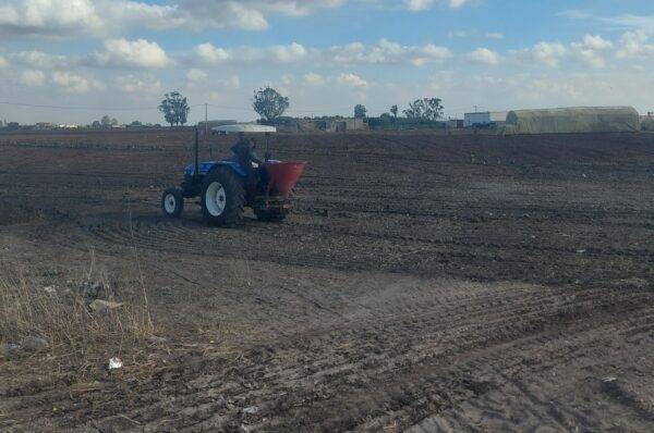 فلاحو برشيد يستهلّون موسم الزرع بعد أولى التساقطات المطرية