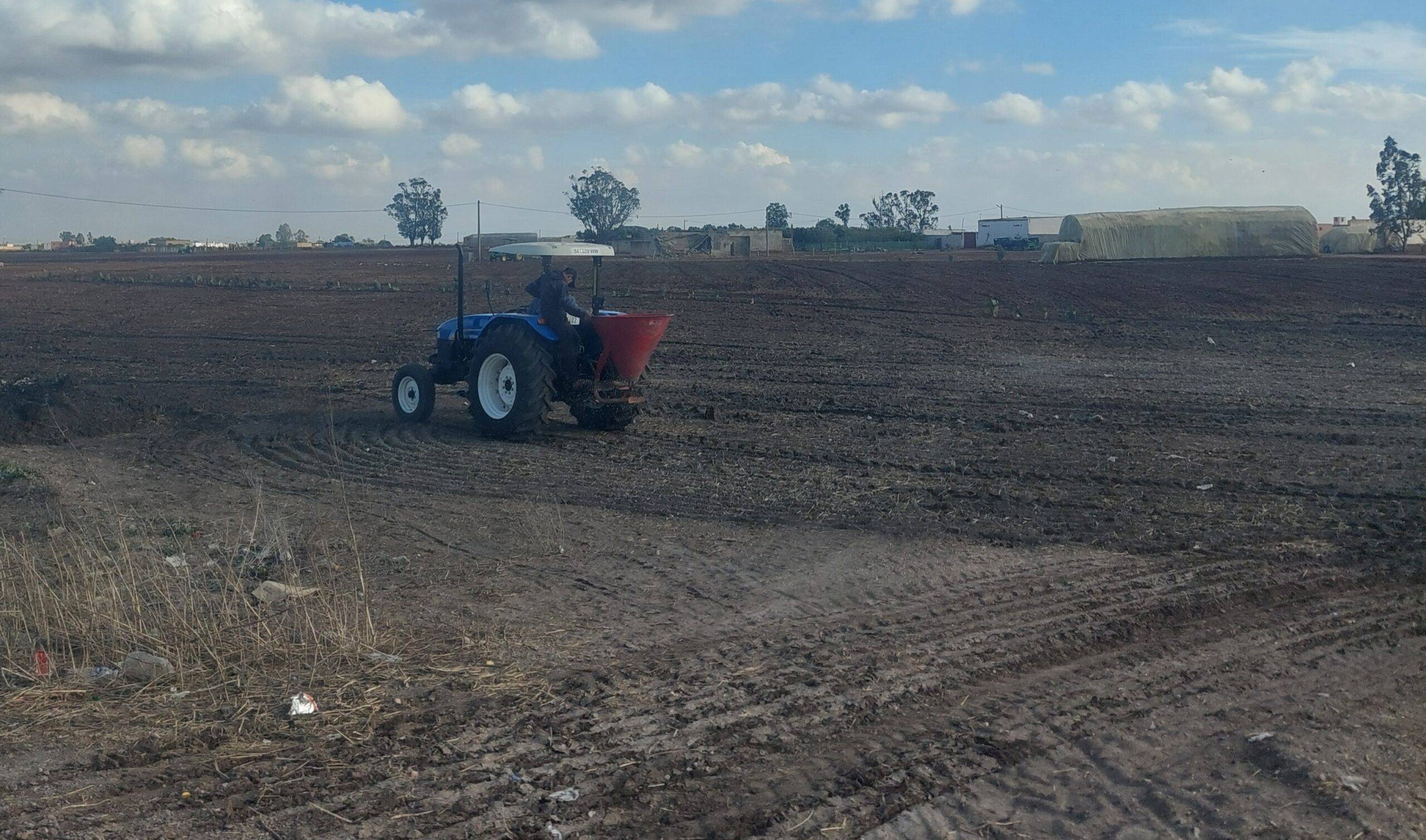 فلاحو برشيد يستهلّون موسم الزرع بعد أولى التساقطات المطرية