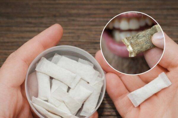 نتشار “الكالة” في المغرب: خطر صامت يتسلل إلى عقول الشباب