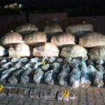 تفكيك شبكة لترويج المخدرات بالقنيطرة وحجز كميات كبيرة