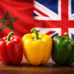 المغرب يعزز صادرات الفلفل للسوق البريطانية محققا نموا قياسيا ملحوظا