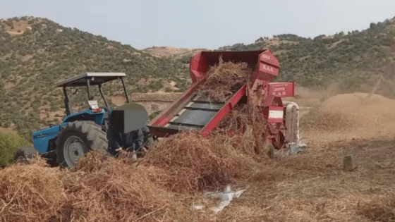 فاجعة مؤلمة ببرشيد.. آلة حصاد تودي بحياة عامل داخل ضيعة فلاحية