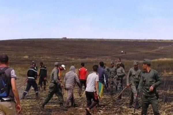 حرائق متفرقة بسطات تلتهم مساحات واسعة من المحاصيل الزراعية
