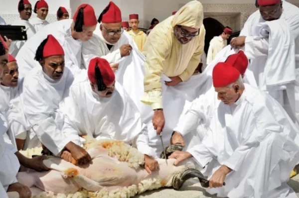 الحكومة تمنح عطلة استثنائية للموظفين بعد عيد الأضحى المبارك بالمغرب
