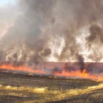 حرائق الحقول تهدد موسم الحصاد وتكبد الفلاحين خسائر فادحة بالمغرب