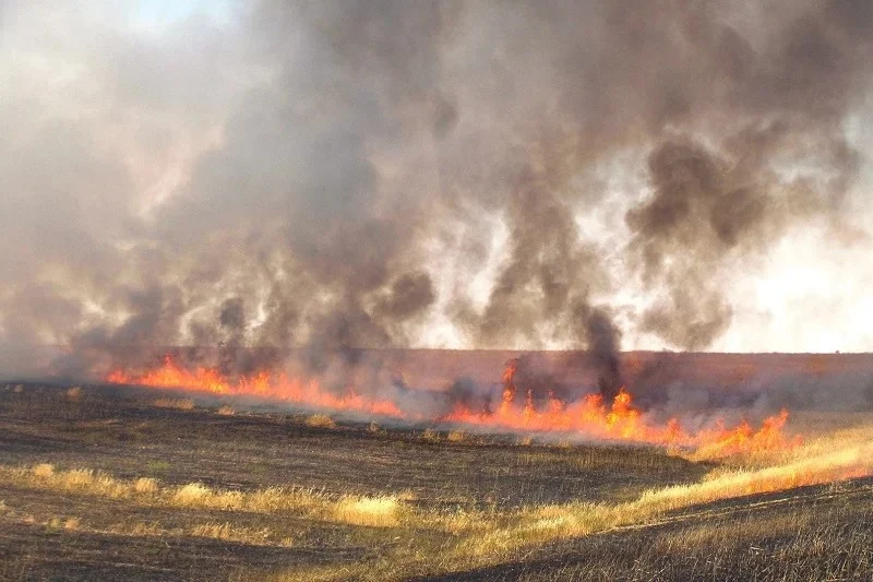 حرائق الحقول تهدد موسم الحصاد وتكبد الفلاحين خسائر فادحة بالمغرب