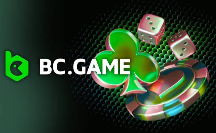 Understanding the BC App Verification Process A Comprehensive Guide 969427817 Understanding the BC App Verification Process A Comprehensive Guide 969427817